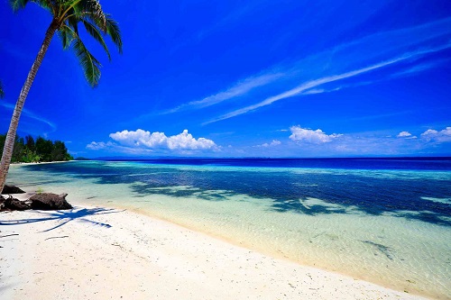 Fringed palm beach of Cove Eco Resort at Raja Ampat