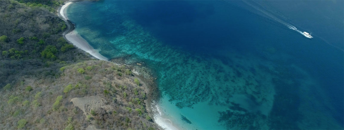 Oceanic Liveaboard en Komodo, Indonesia