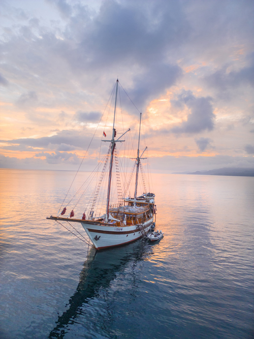Liveaboard diving and snorkeling in Banda Sea