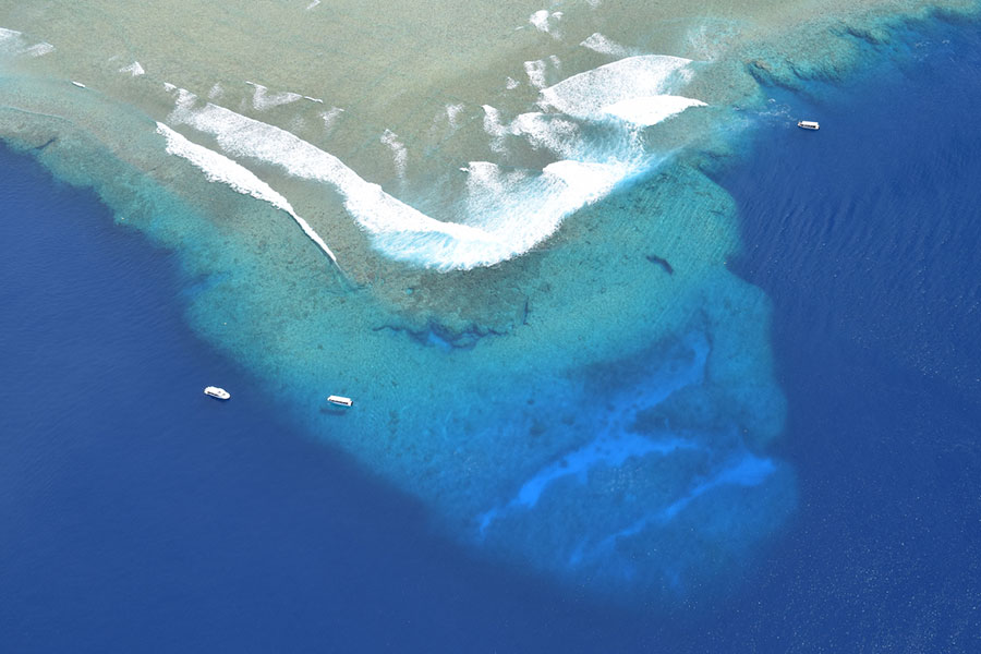 Blue Corner dive site in Palau