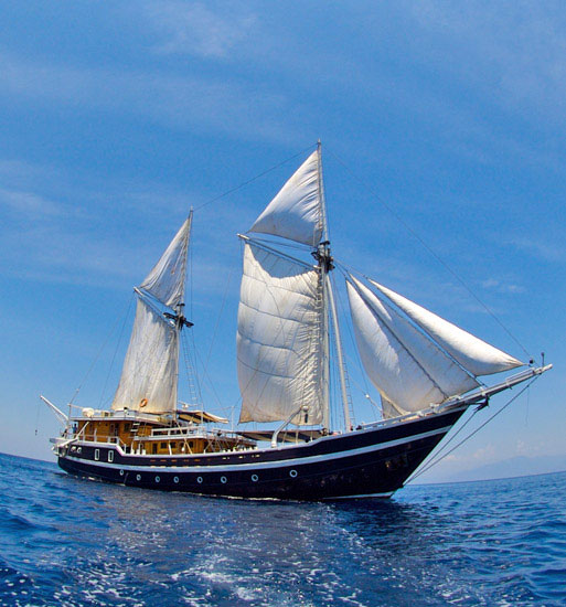 Cruises for divers with Seahorse Liveaboard'