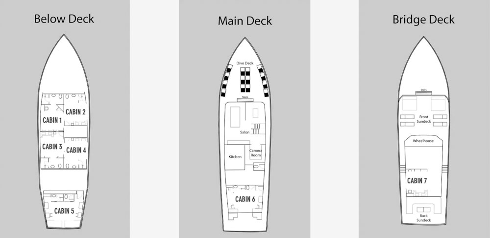 Damai 1 Layout Damai 1 Liveaboard Layout and Technical Data