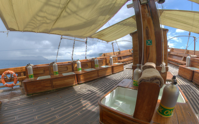 Cruceros de buceo de lujo con Damai liveaboard