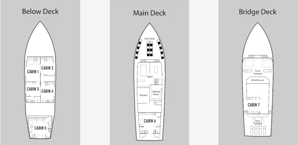 Damai 2 Layout Damai 2 Liveaboard Layout and Technical Data