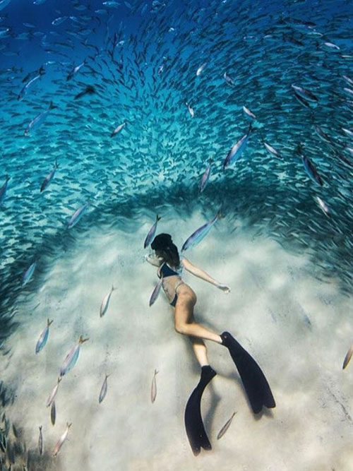 A young lady snorkeling surrounded by a school of fish in Raja Ampat