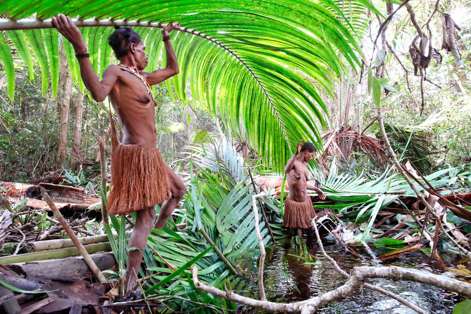 Korowai hunters gatherers nomads