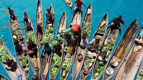 Cruceros buceadores en Islas Salomon