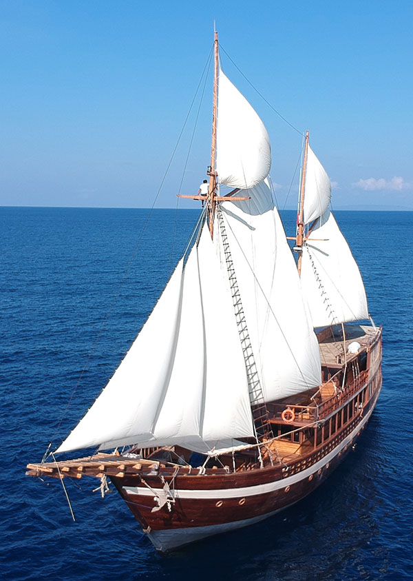 Coralia Liveaboard especificaciones técnicas