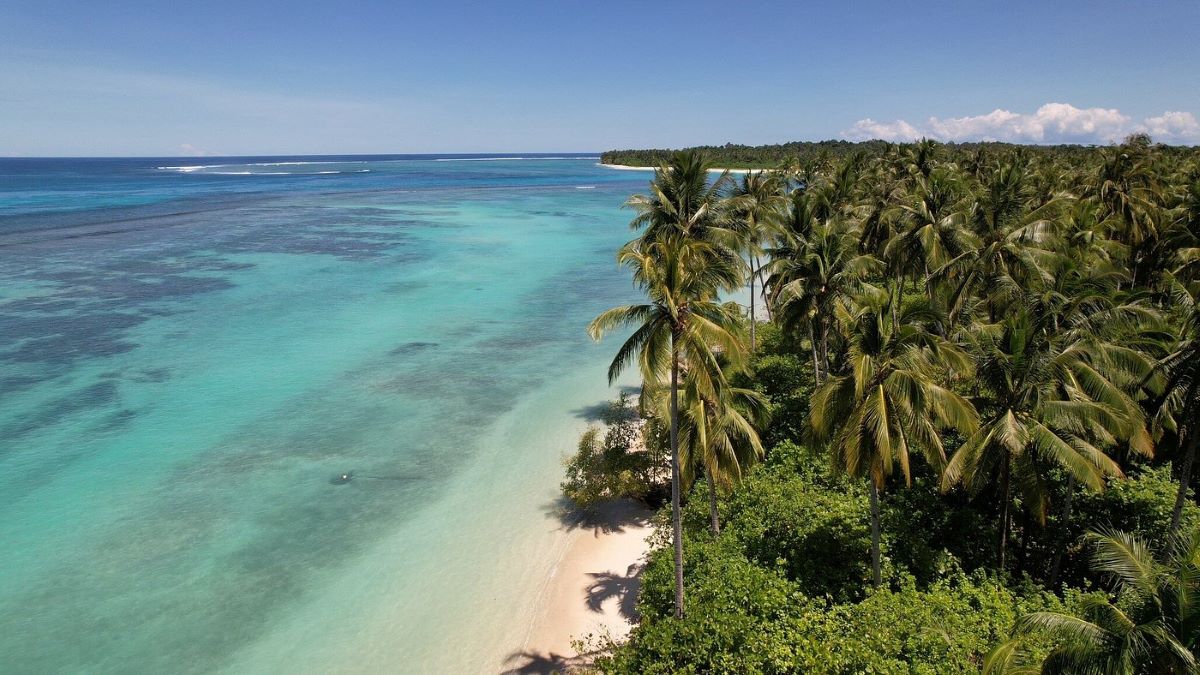 Beach of Awera Resort in the Mentawais Paradisiac beach of Awera Island home of Awera Resort in Mentawai Islands