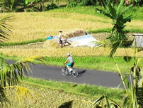 Bali_Bike_Cruising_Indonesia_2010_0141