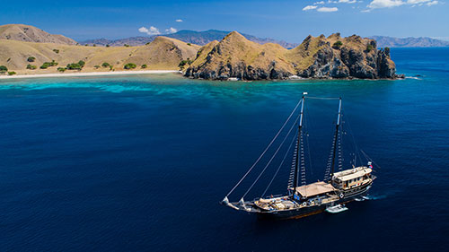 Adelaar liveaboard exclusive cruises in Indonesia