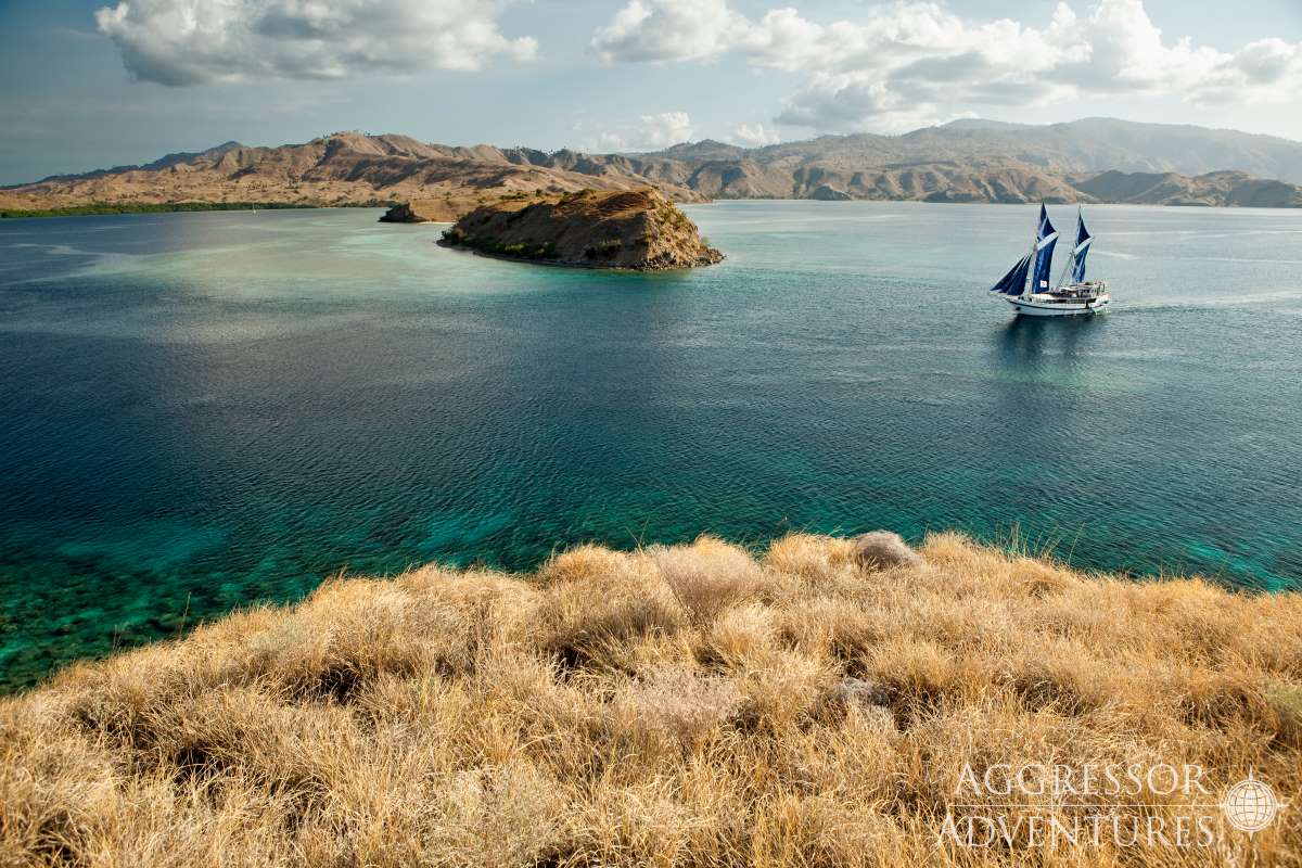 Cruises for scuba divers in Komodo National Park