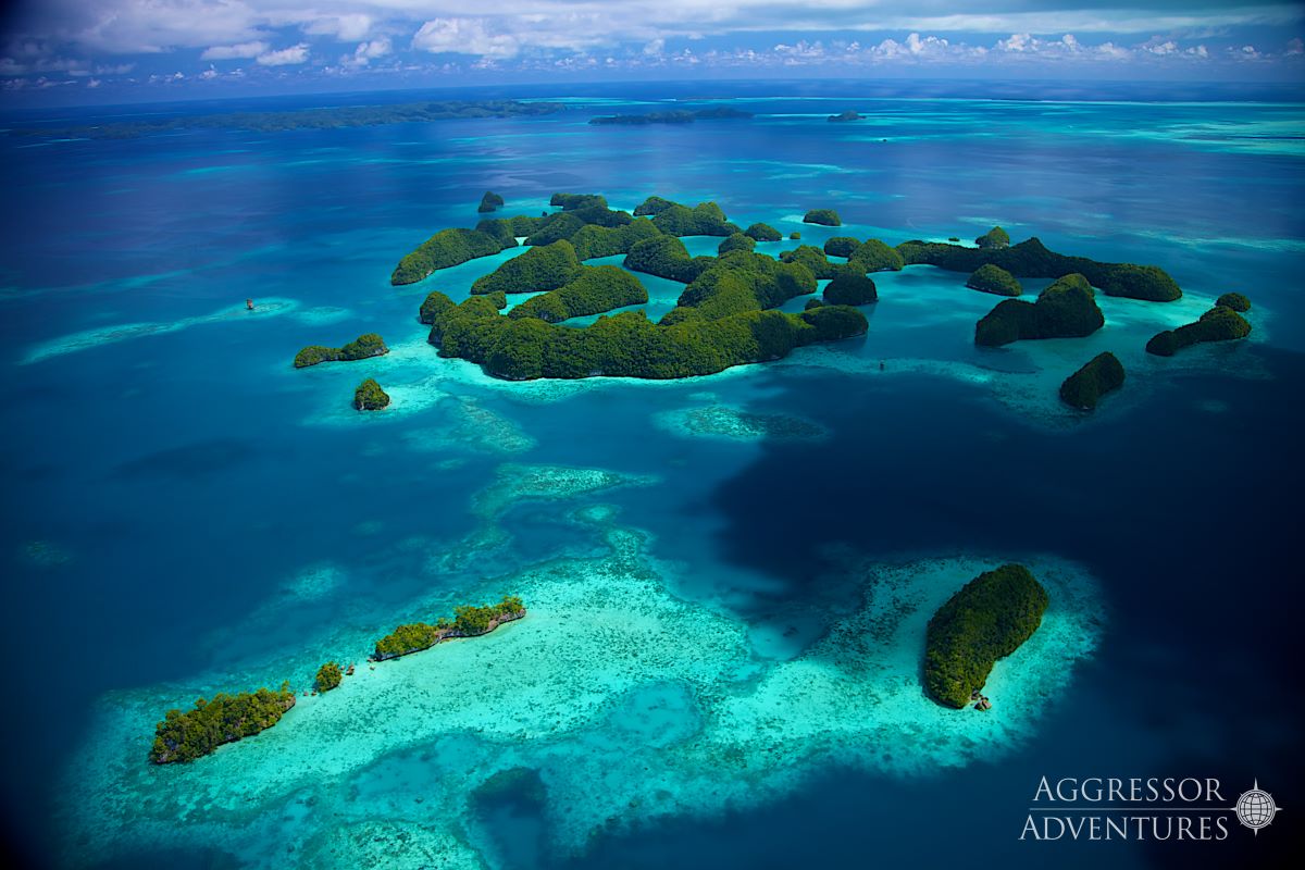 Cruises for scuba divers in Palau