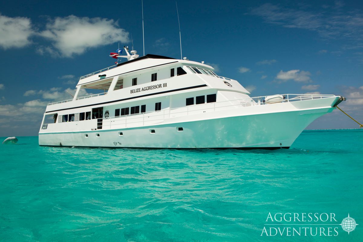 Cruises for scuba divers in Belize