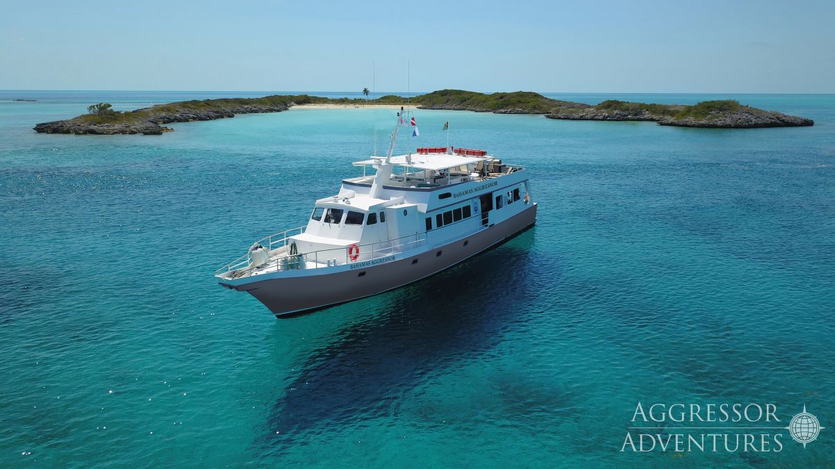 Cruises for scuba divers in Bahamas
