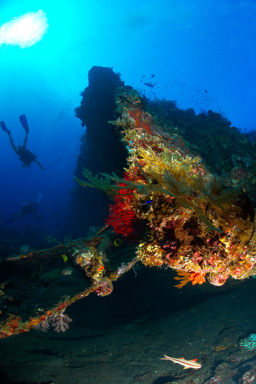 Divers in Bali wreck dive site