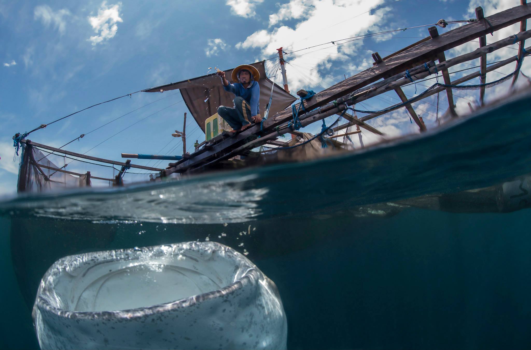 Whale shark and bagan fisherman in Cenderawasih Bay