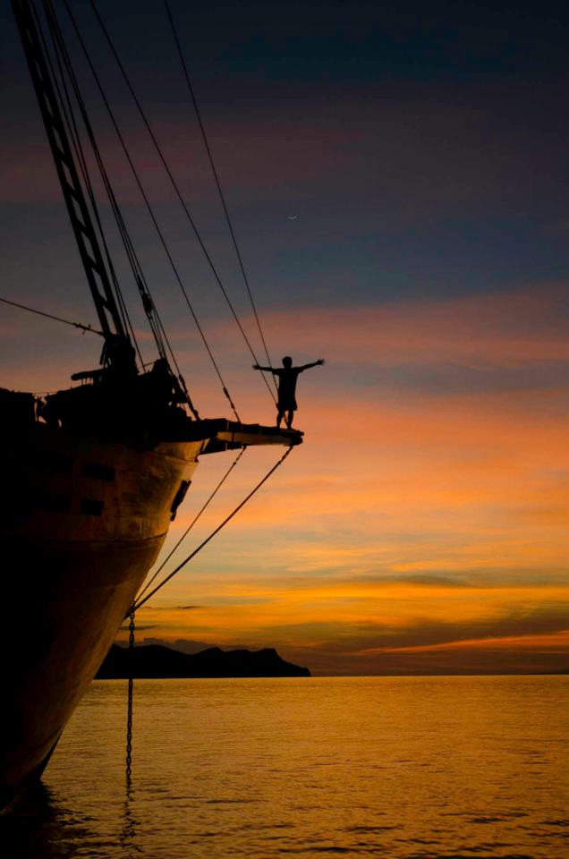 Cruises for divers on the Damai 1