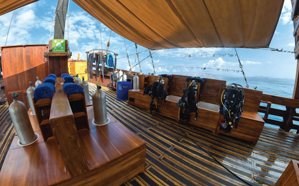 Cruises for divers on Damai liveaboard