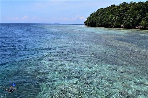 Kakaban Island Resort