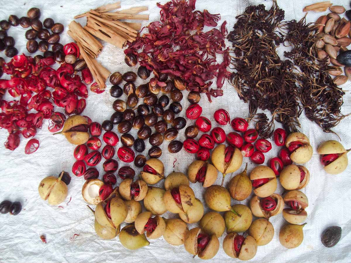 Nutmeg, mace, cinnamon, and clove from the Spice Islands
