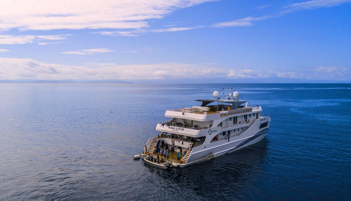 Gaia Love cruises for divers