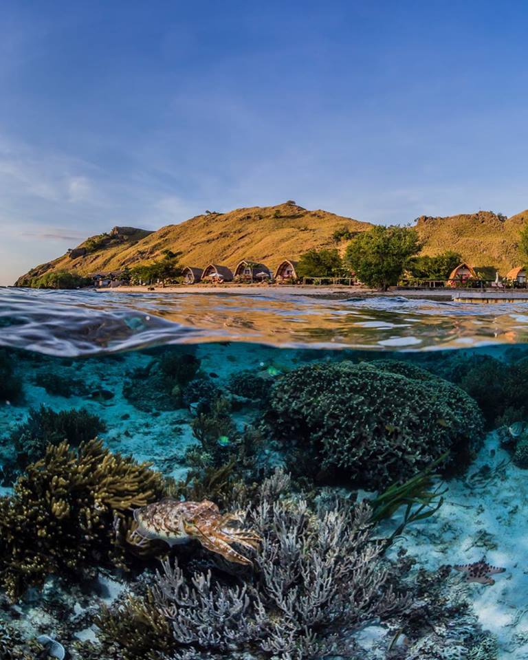 House reef of Komodo Resort in Indonesia