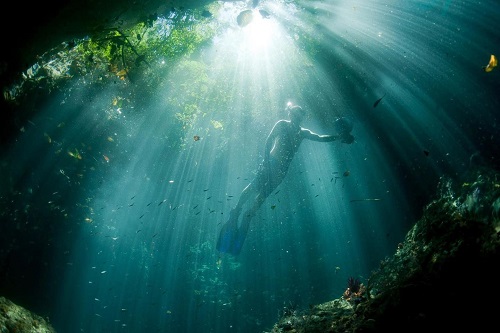 Diver in Kri Island, Raja Ampat