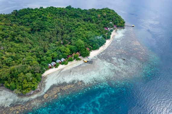 Secluded house reef of Kusu Resort in Halmahera