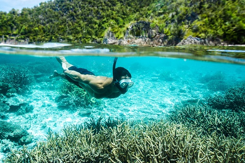 Nataraja Yacht reef snorkeling