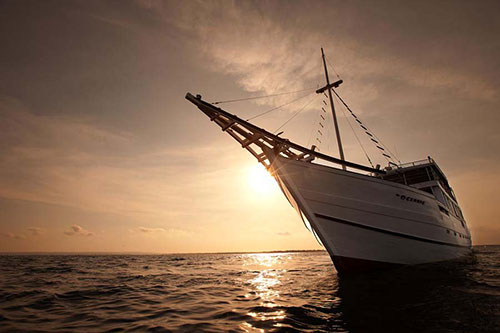 Oceanic charter cruises in Indonesia