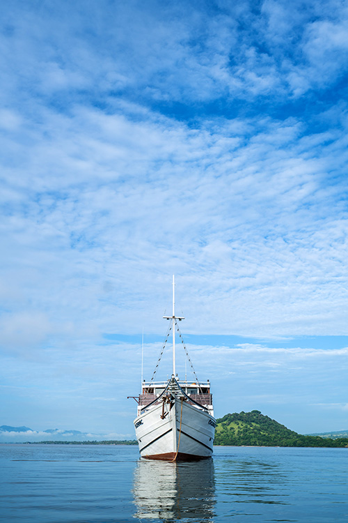 Oceanic Liveaboard diving cruises in Indonesia