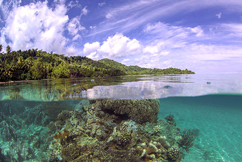 Sali Bay Resort's house reef