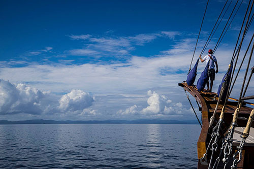 Samambaia cruising Indonesia
