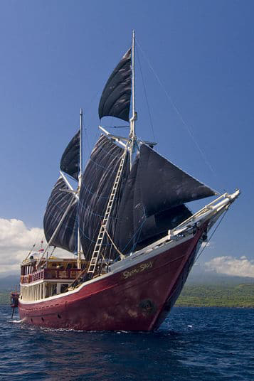 Seven Seas Liveaboard diving in Indonesia
