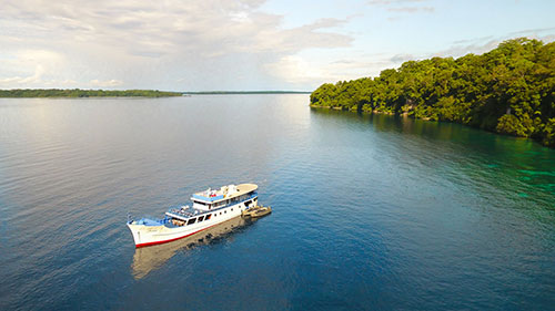 Cruceros buceadores en Islas Salomon