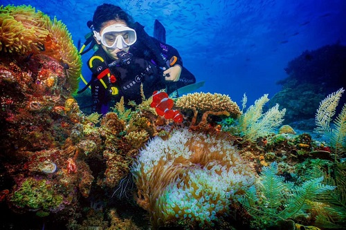 Diver at house reef of Sorido Bay Resort