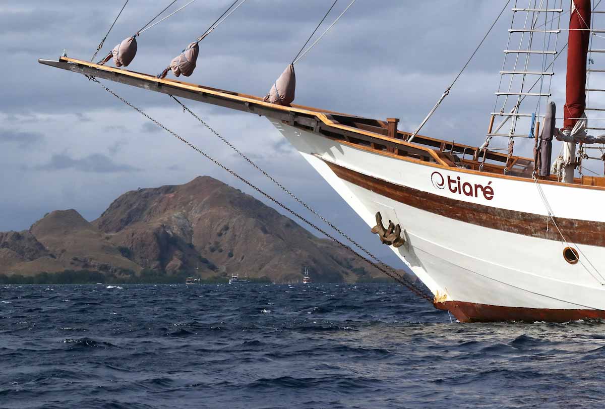 Dive cruises in Komodo with Tiare Liveaboard