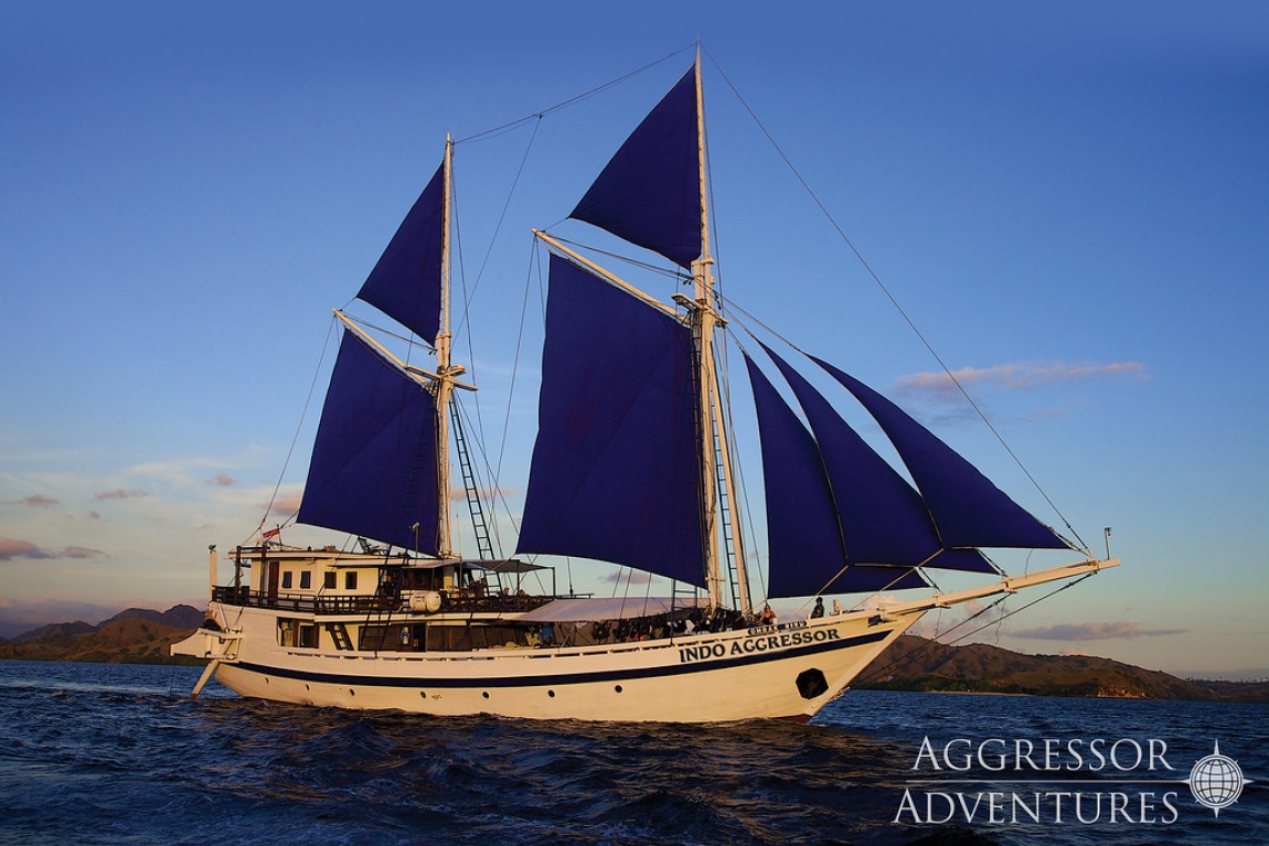 Aggressor Fleet | Cruising Indonesia | The Liveaboard and Dive Specialists