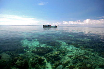 Isole Derawan nel Borneo Indonesiano