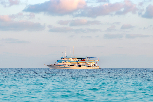 Maldives Dive Cruises
