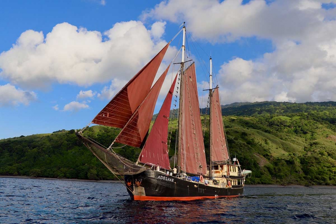 Adelaar Liveaboard | Cruising Indonesia | The Liveaboard and Dive Specialists