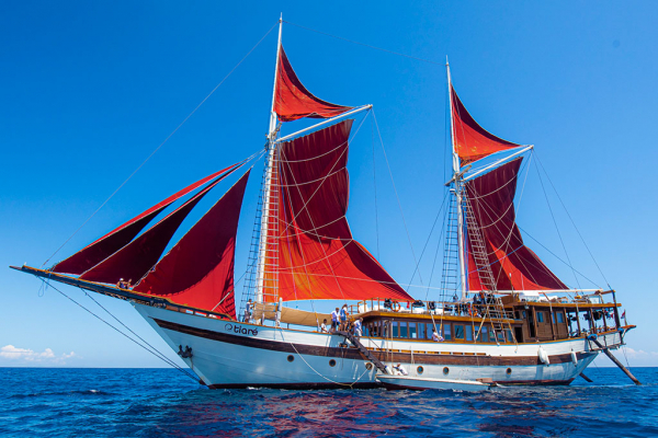 Tiare Cruise another amazing liveaboard designed and built by Cruising Indonesia