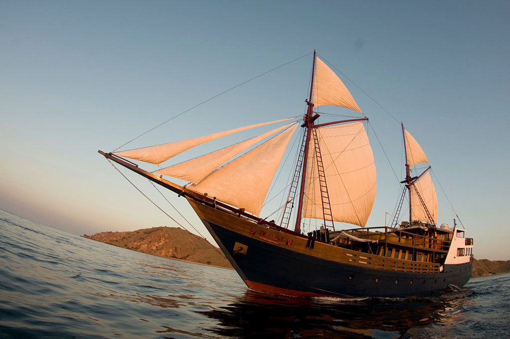Dive Damai | Cruising Indonesia | The Liveaboard and Dive Specialists