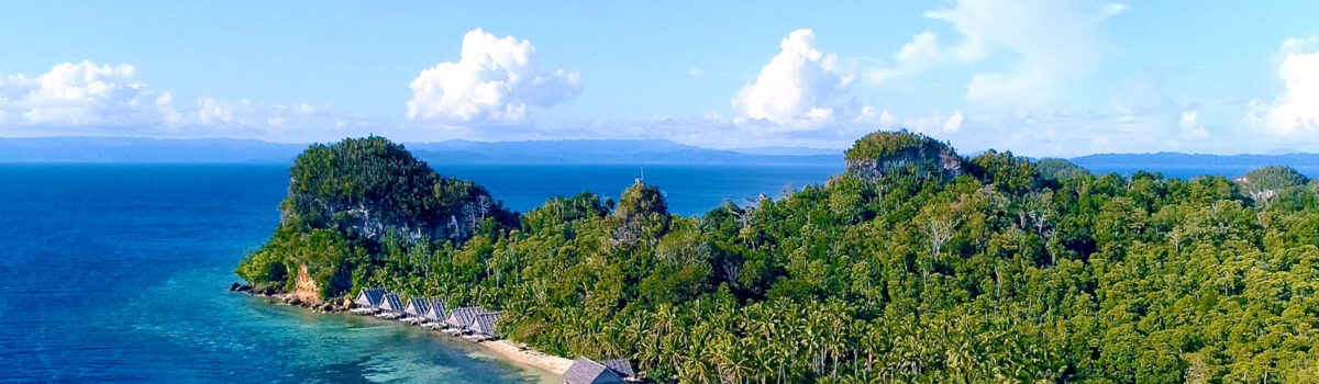 Raja 4 Divers Resort