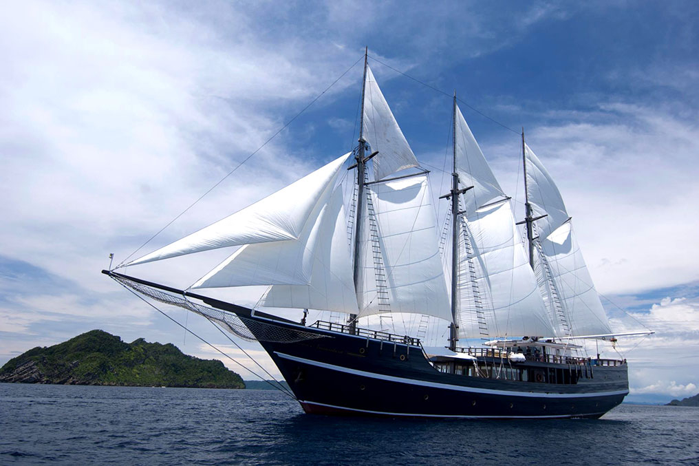 Dewi Nusantara | Cruising Indonesia | The Liveaboard and Dive Specialists