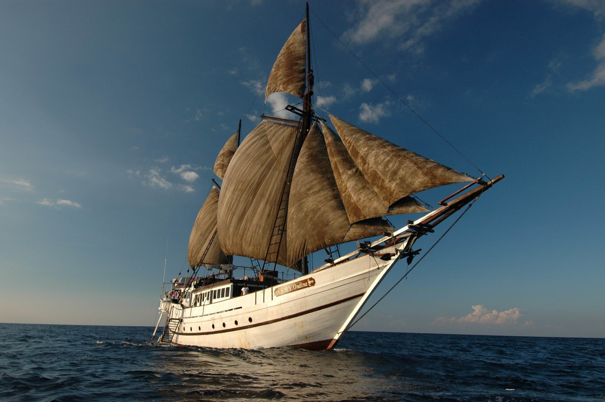 Ondina Liveaboard | Cruising Indonesia | The Liveaboard and Dive Specialists