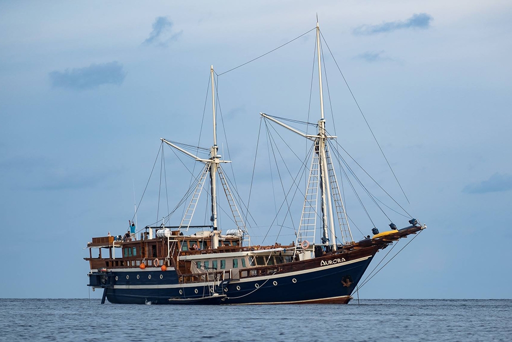 Dune Aurora | Cruising Indonesia | The Liveaboard and Dive Specialists