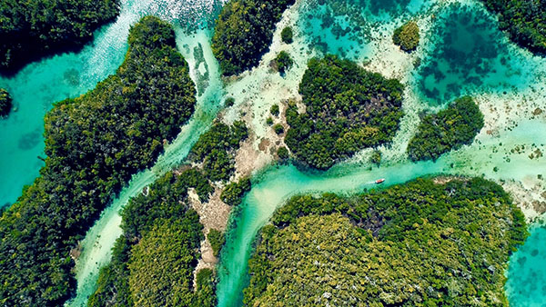 Hidden Bay excursions at Raja 4 Divers Resort