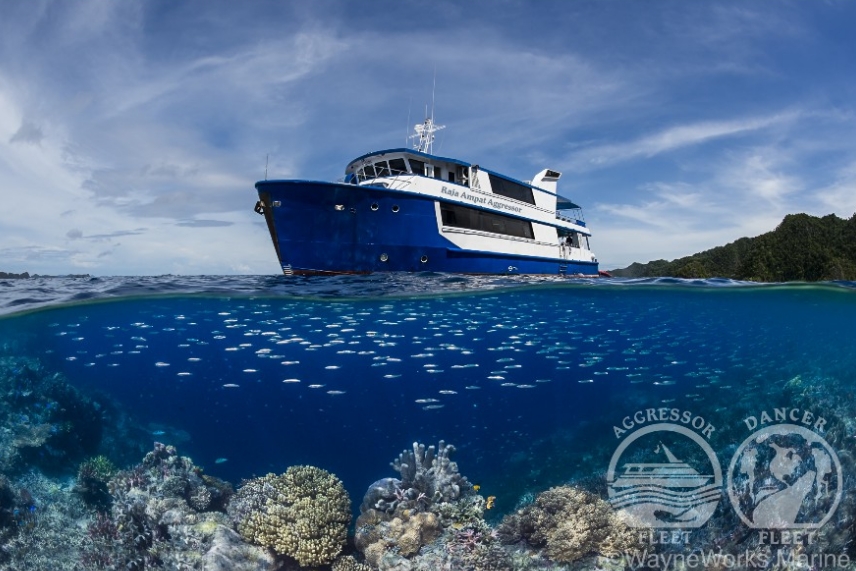 Raja Ampat Aggressor | Cruising Indonesia | The Liveaboard and Dive Specialists